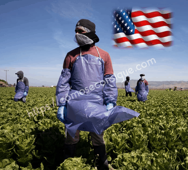 Como puedes obtener una autorización laboral en USA