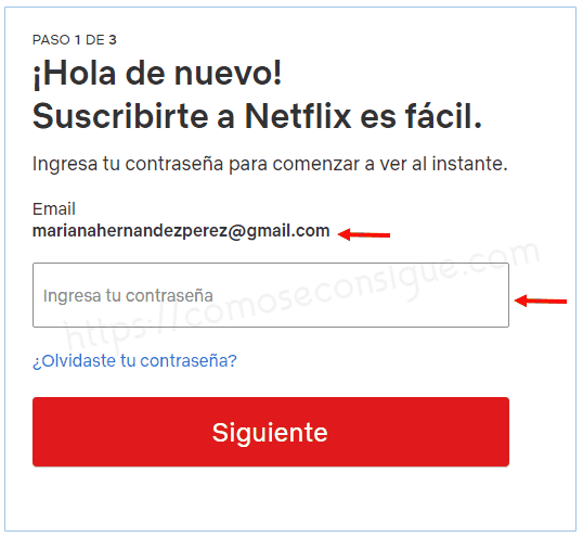 Obtener una cuenta Netflix en USA